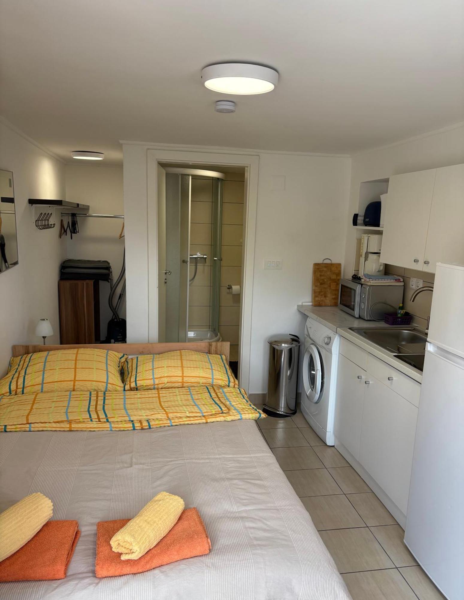 Apartments Lili 塞尼 外观 照片